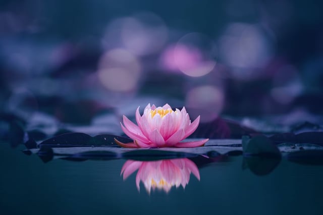 Image de 