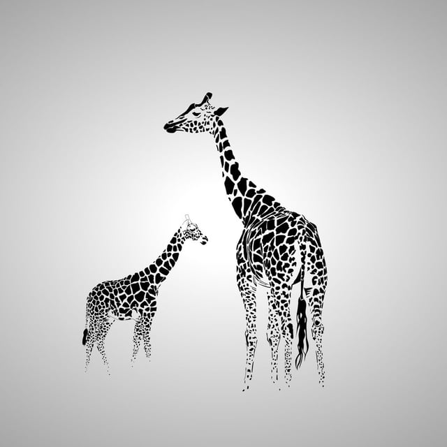 Image de 