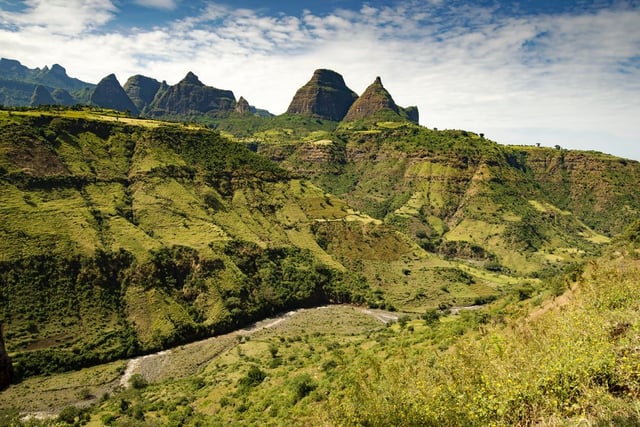 Image of 