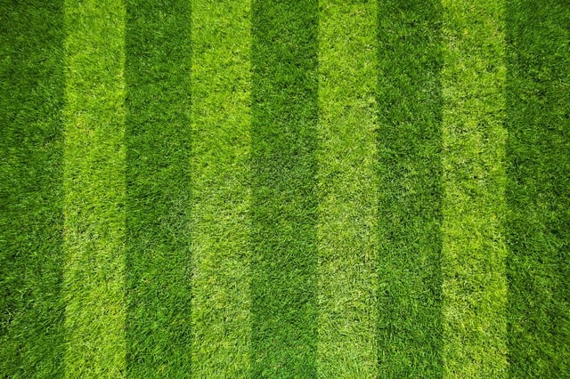 Afbeelding van 
