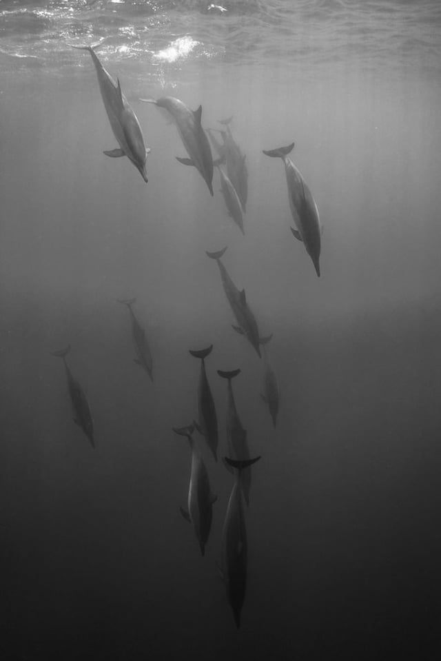 Image of 