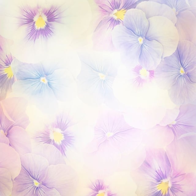 Image de 