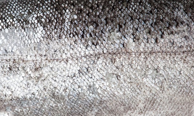 Image de 