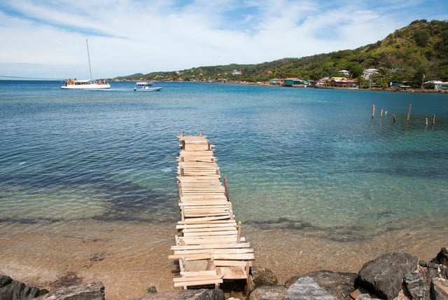 Image of 