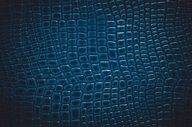 Image of 