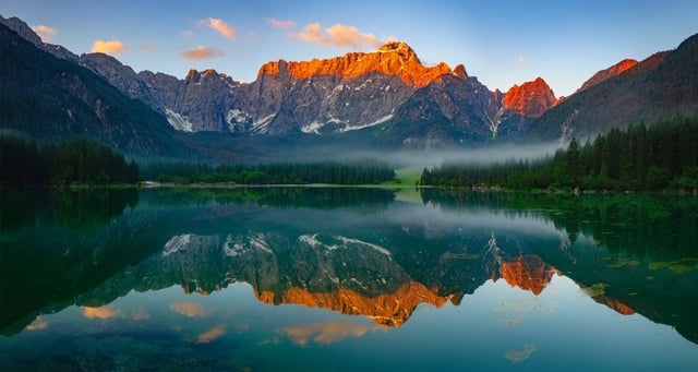 Image of 