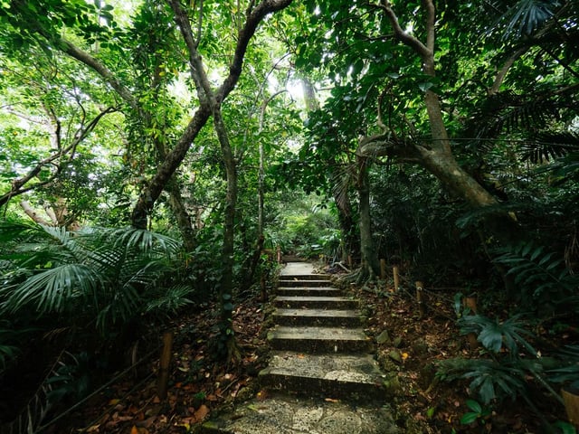 Image de 