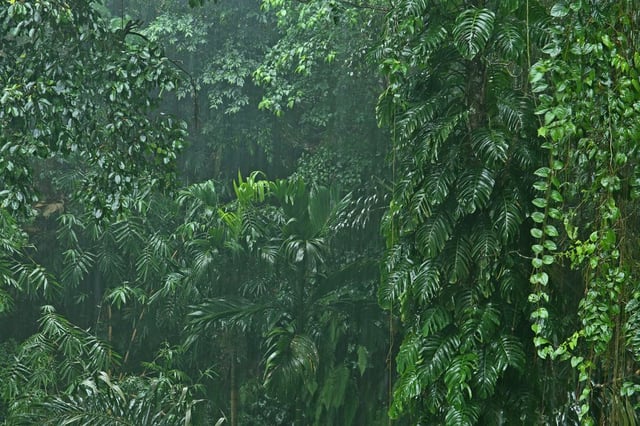 Image de 