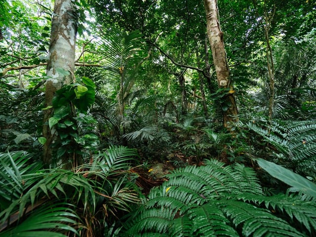 Image de 