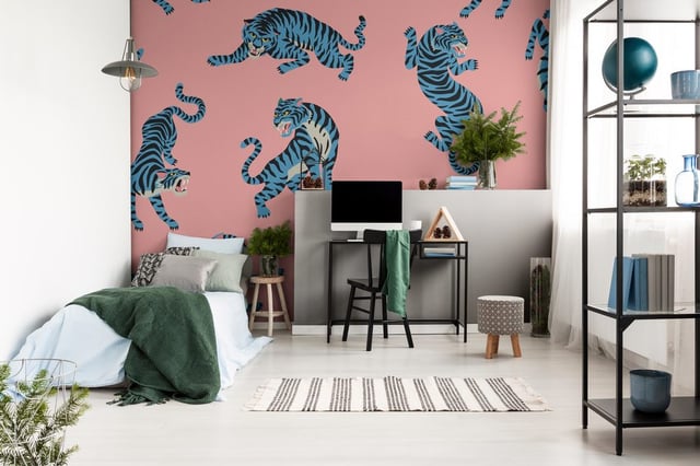 Image of 