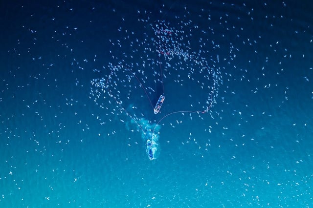 Image de 