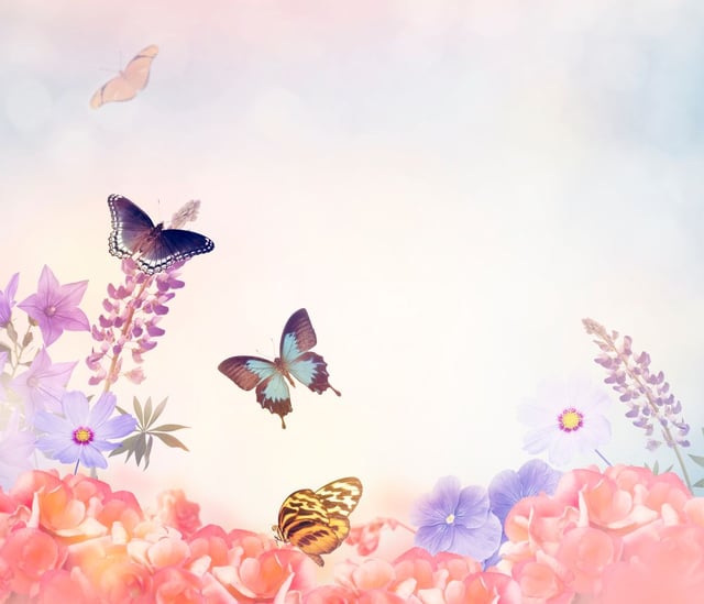 Image de 