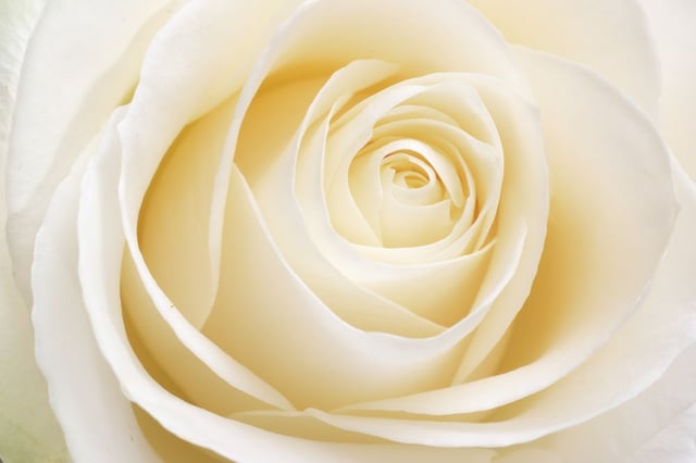 Image of 