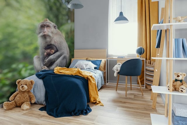 Afbeelding van 