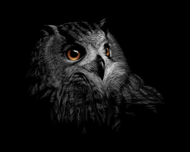Image de 