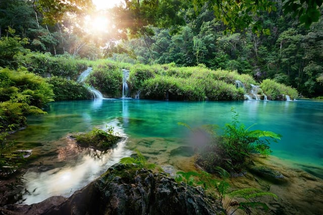 Image of 