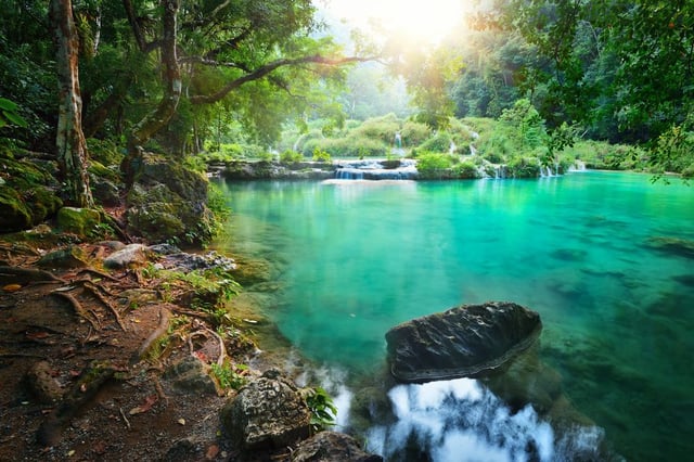 Image of 