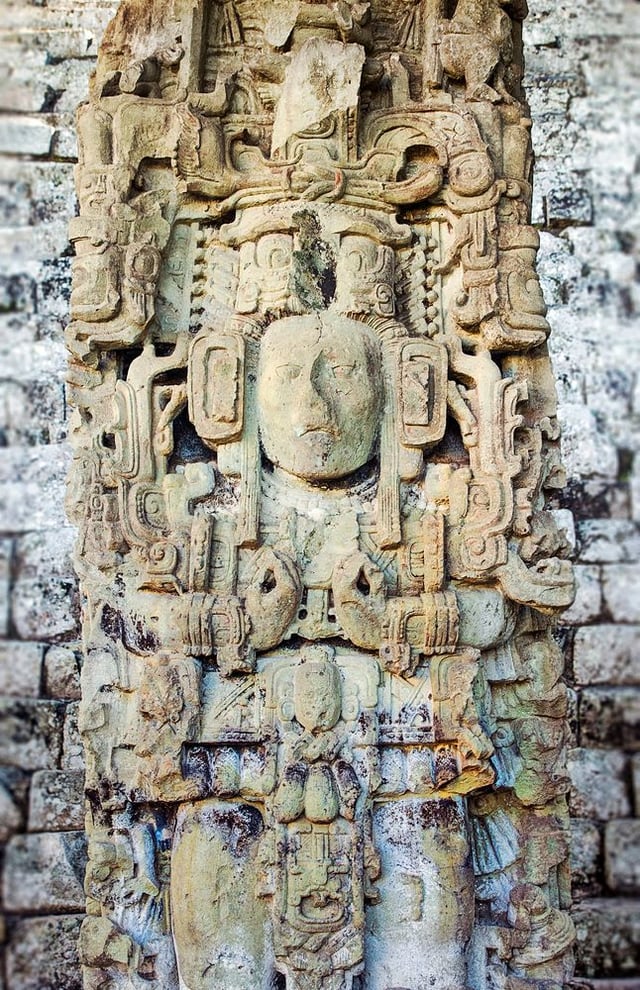Image of 