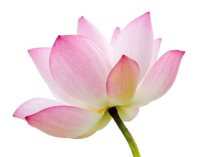 Image de 