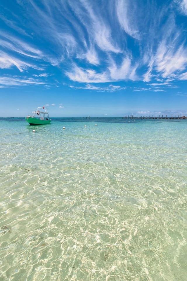 Image of 