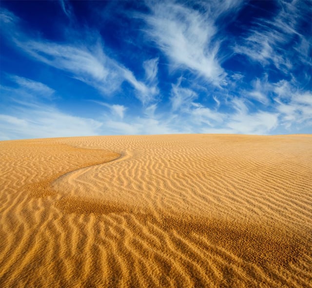 Image of 