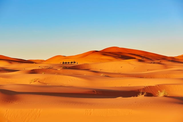 Image of 