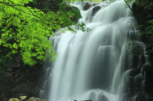 Image of 