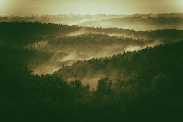 Image de 