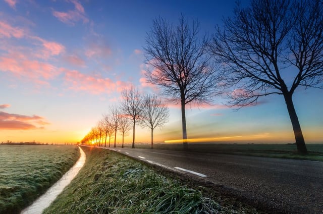 Afbeelding van 