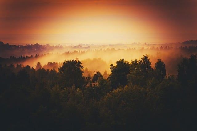 Image de 