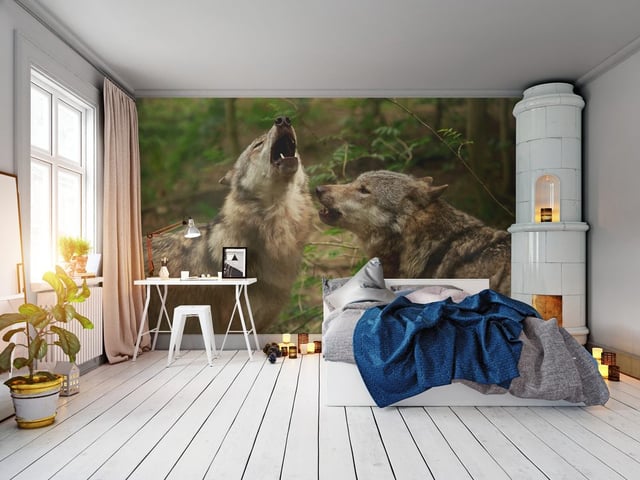 Image de 