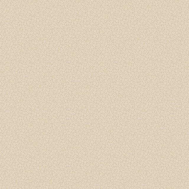 Image de 