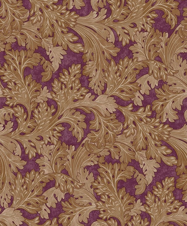 Image of 