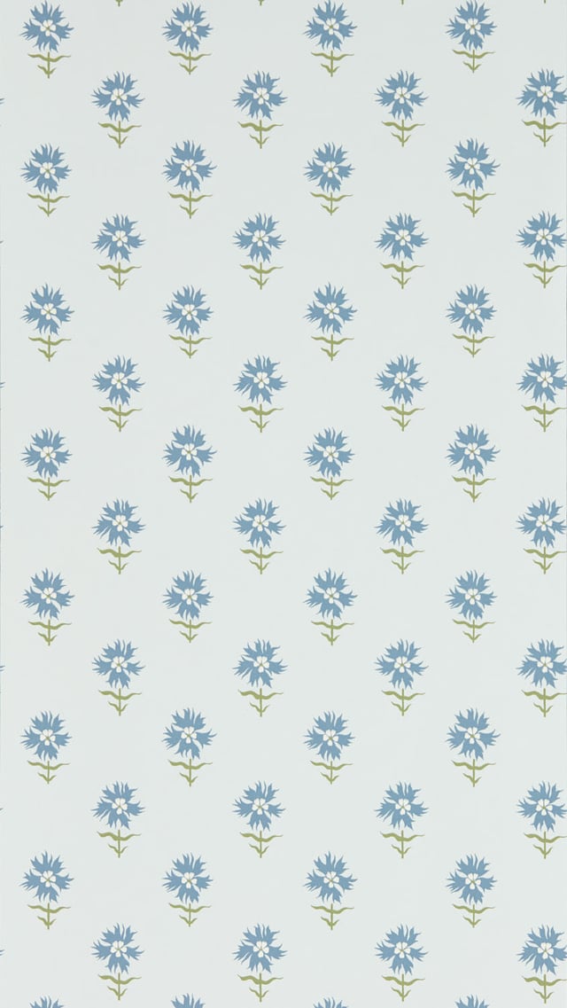 Image of 