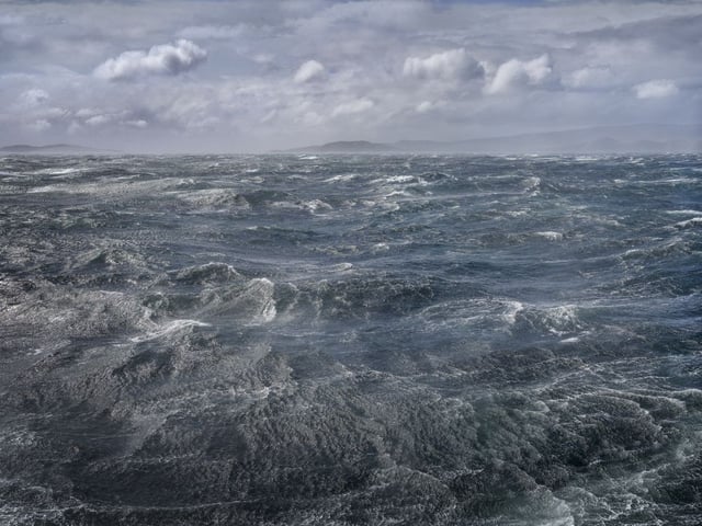 Image of 