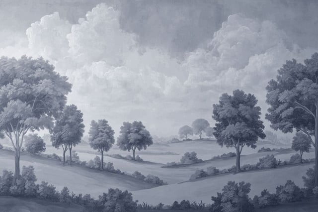 Afbeelding van 