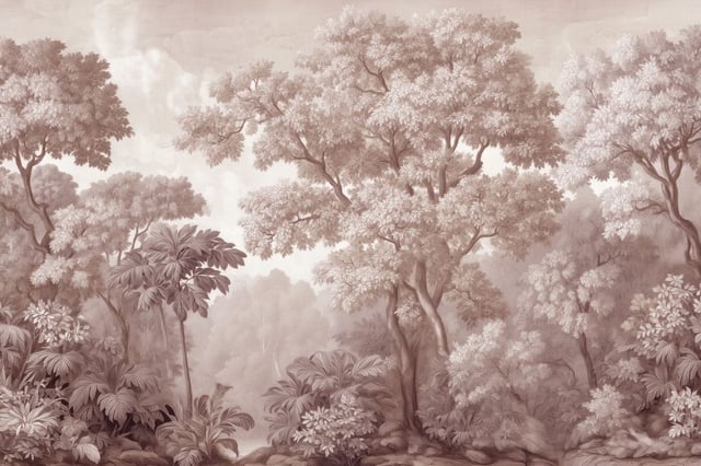 Image of 