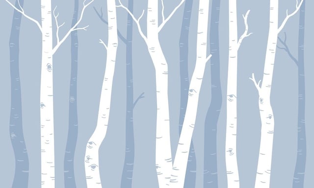 Image de 