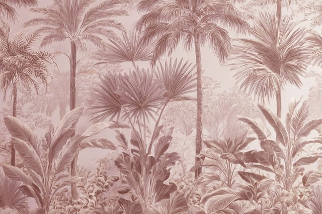 Image de 
