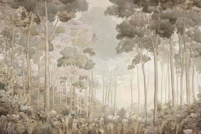 Image de 