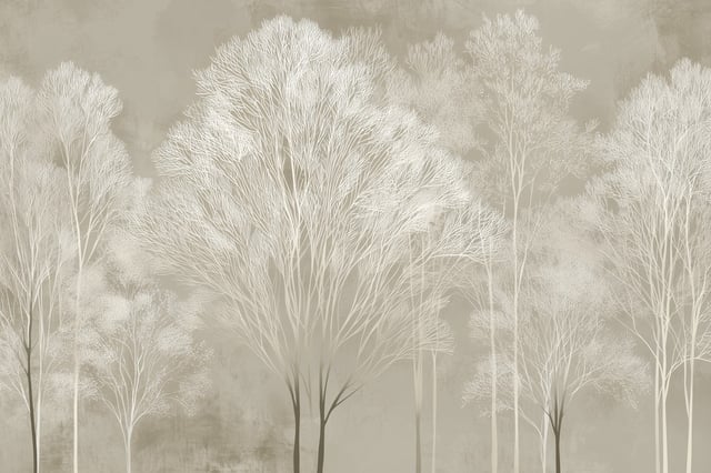 Image de 