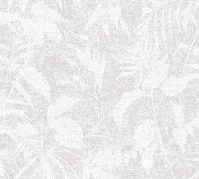 Image of 